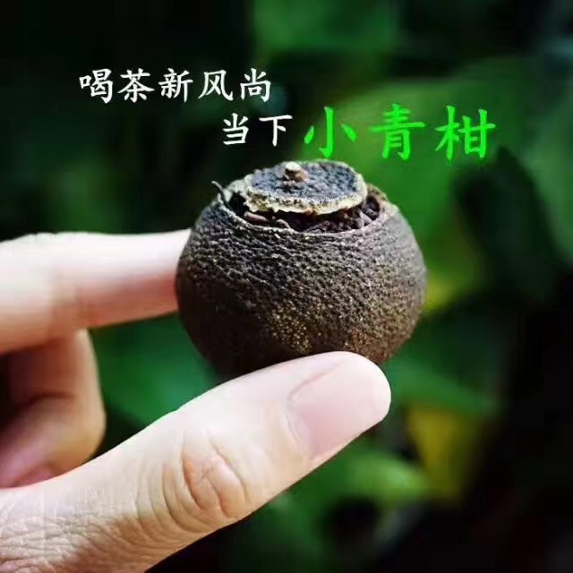 正宗新会核心产区2022小青柑传统工艺陈皮试喝品鉴