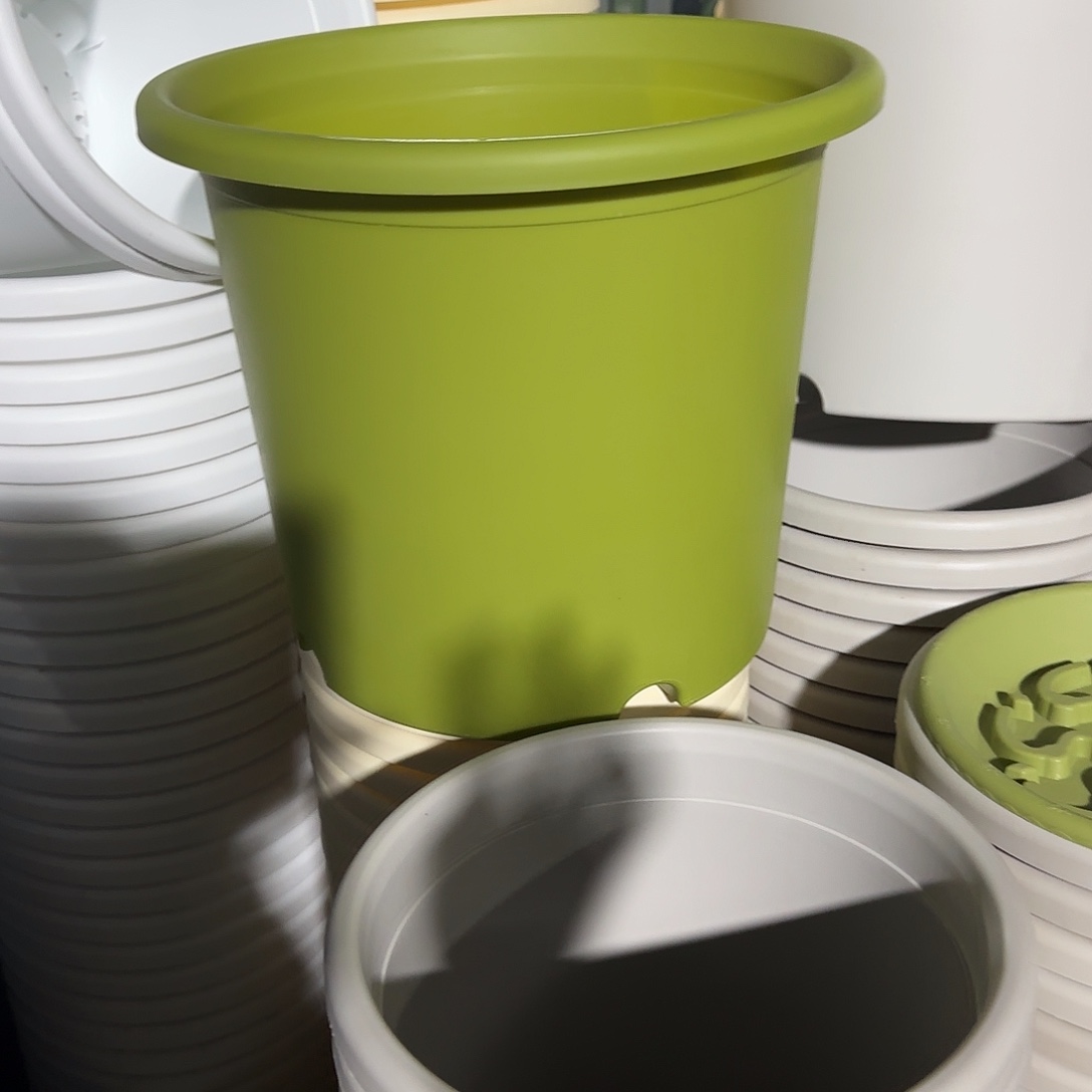 树脂四季6号无托7个灰白微瑕