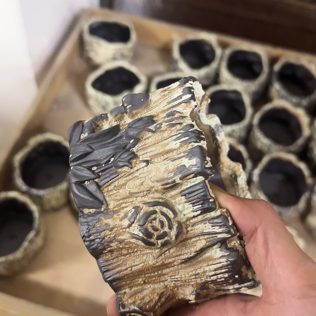 福利局绿植多肉盆［凑9元包邮24小时发］