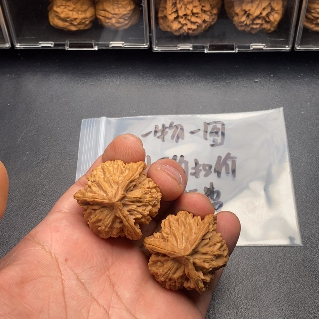 瞎***！盘山三棱正奔核桃