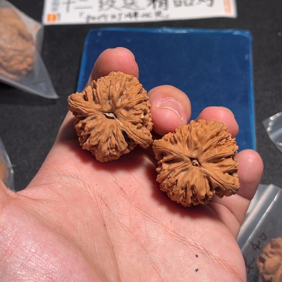 拉***猪36全品红皮三角涿鹿南疆有黄丝