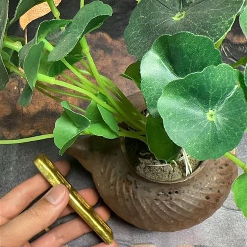 25-精选家居摆件-喜庆节日摆件-SG