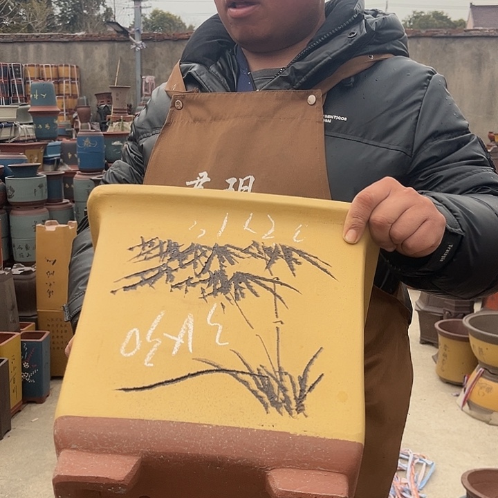 紫砂紫砂花盆盆栽