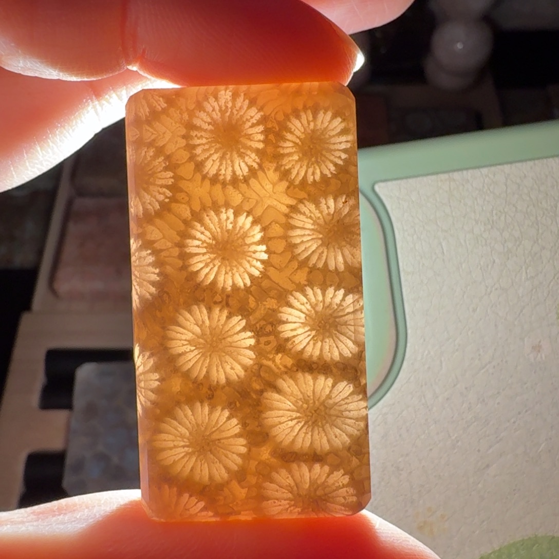 硅化玉未镶嵌爆闪 灯美人 雏菊花，太美啦