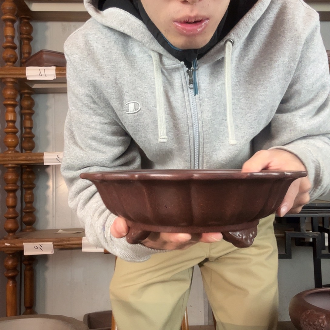 飓风差距非常复古
