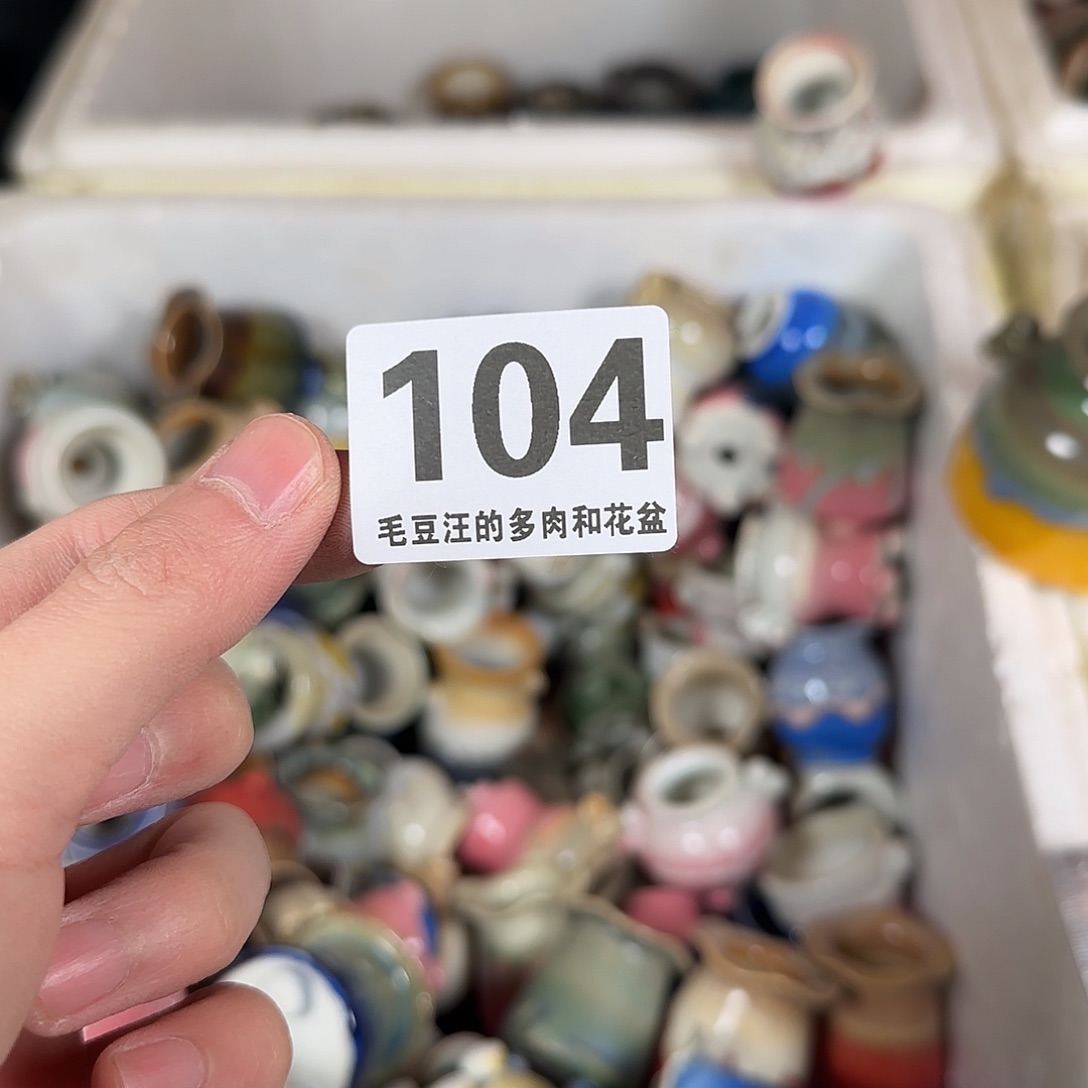 104 瑕疵特惠 自选花盆 no退no换