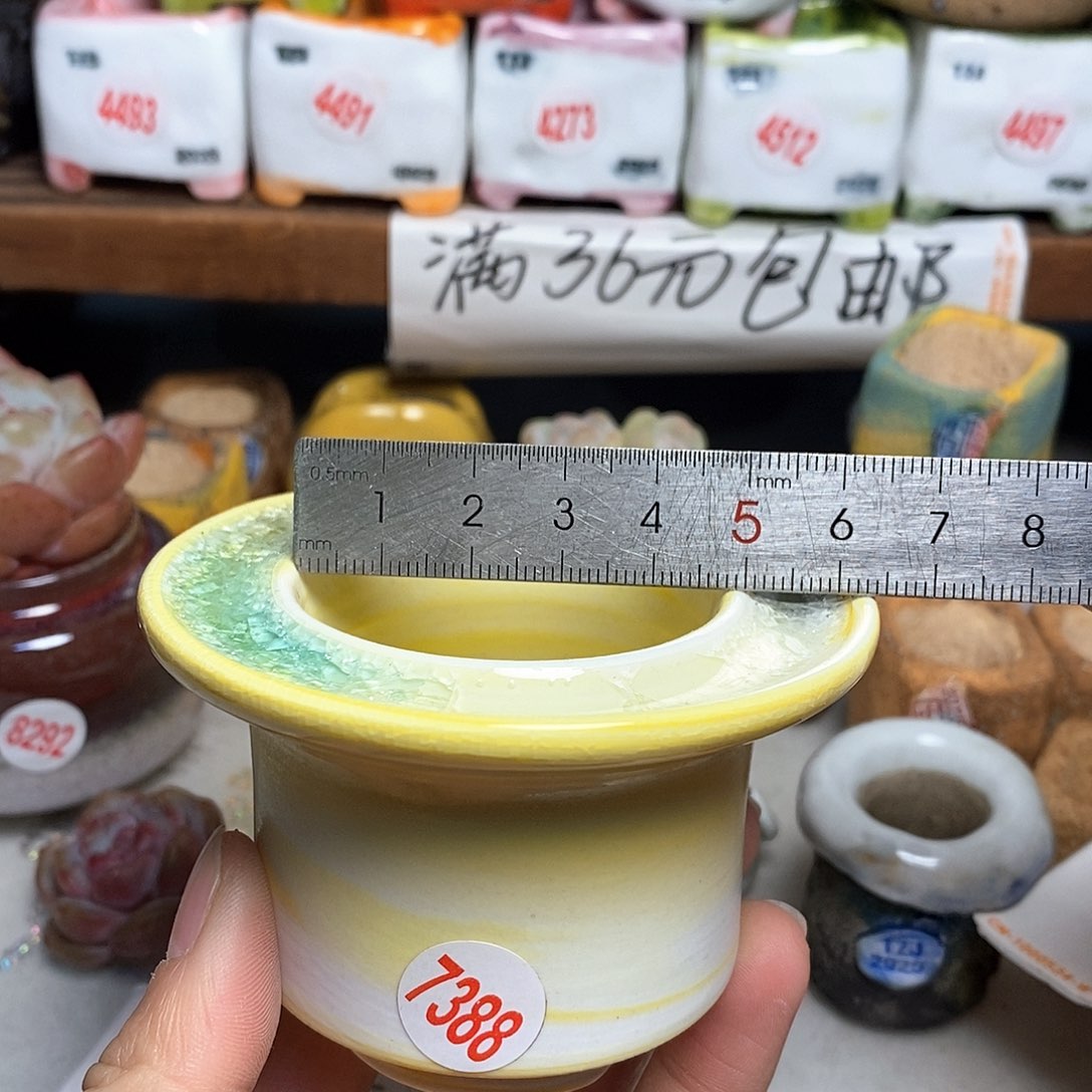 红陶拍5送一个小