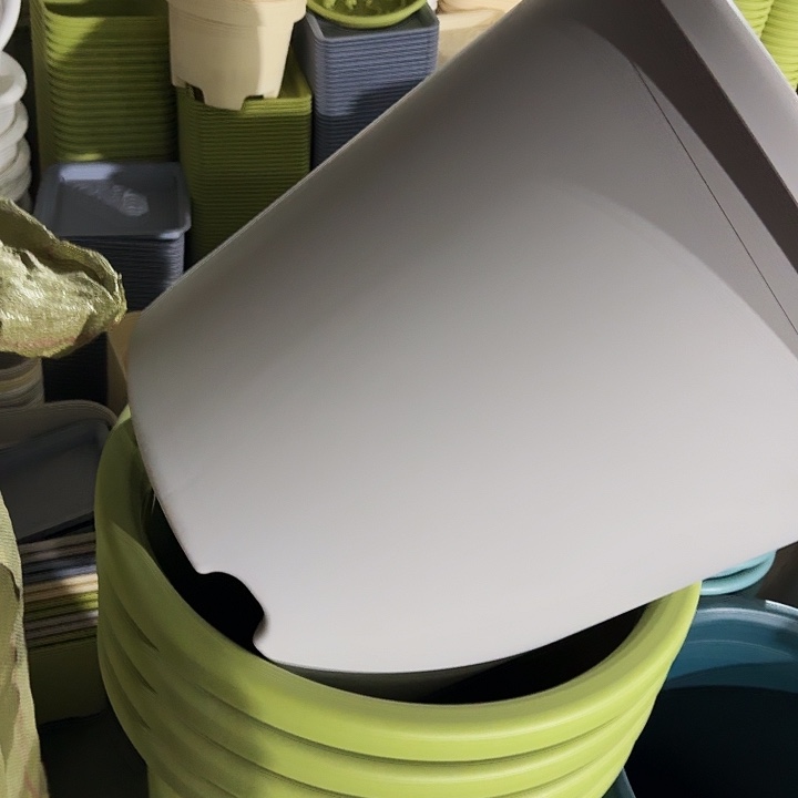 四季12号灰白无托2个