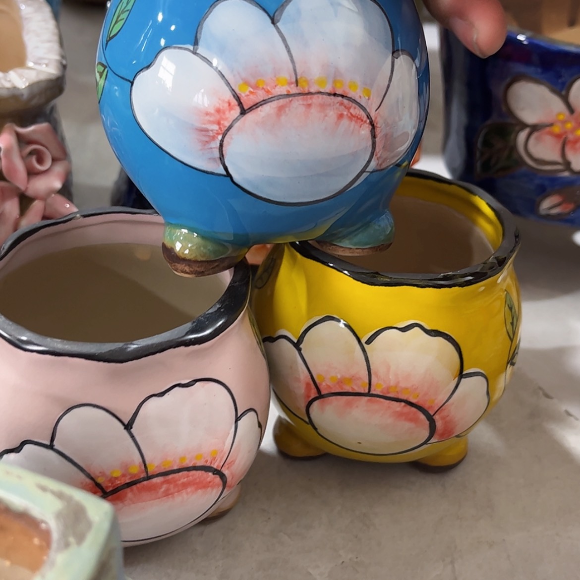 【闪购商品】红陶福利