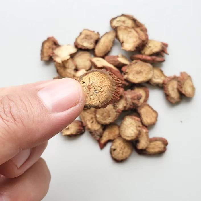 山东丹参片可泡茶煮水