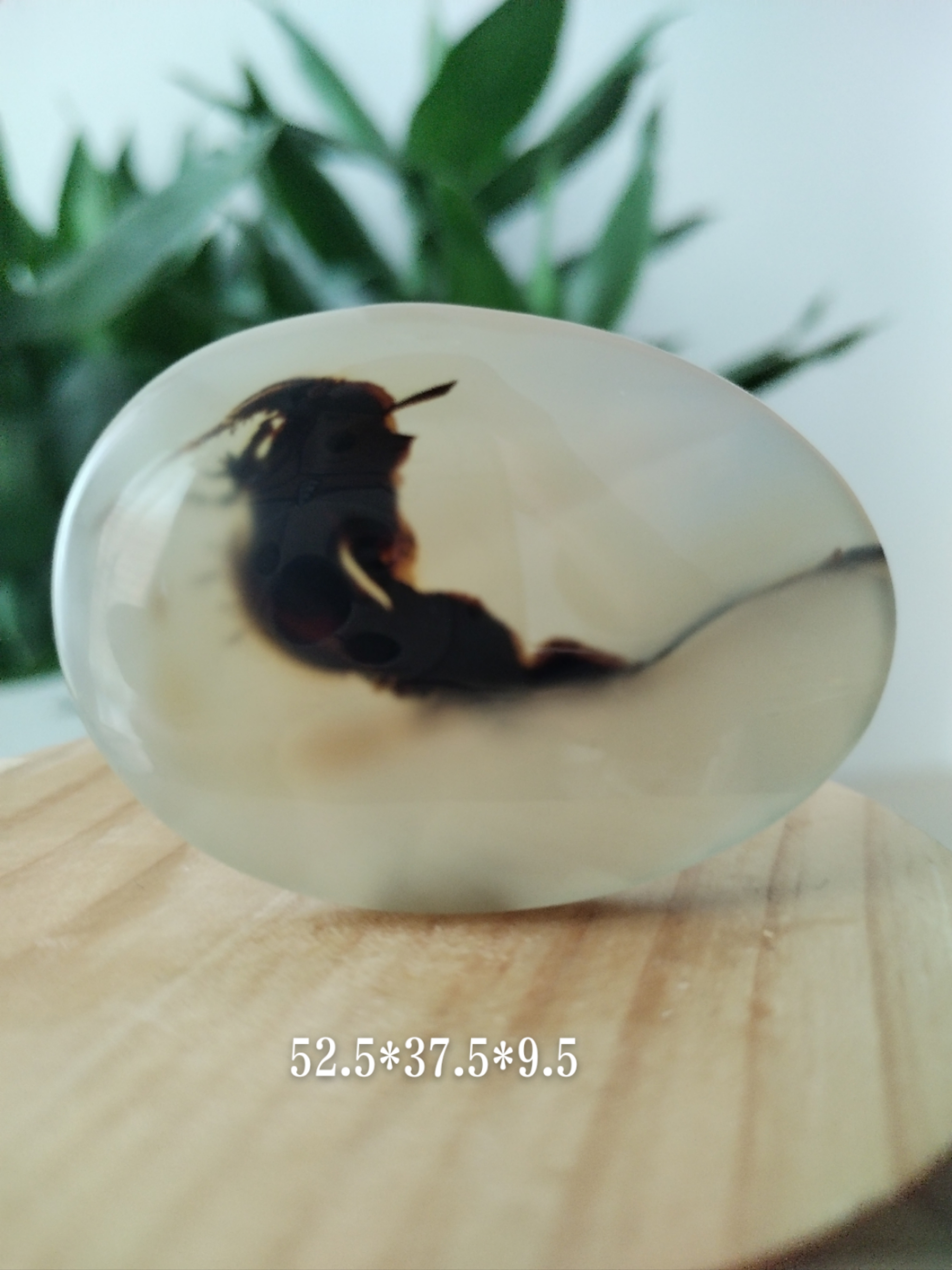 天然海洋玉髓像形吊坠上新货