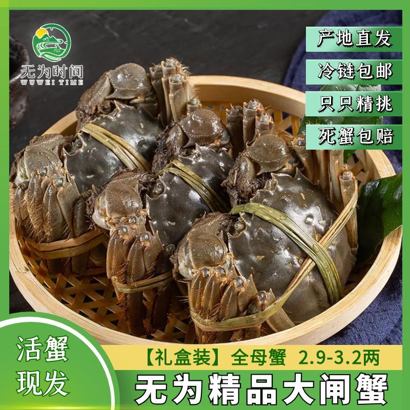 【活蟹现发】无为大闸蟹全母蟹2.9-3.2两 8/10只装精挑黄多顺丰直达