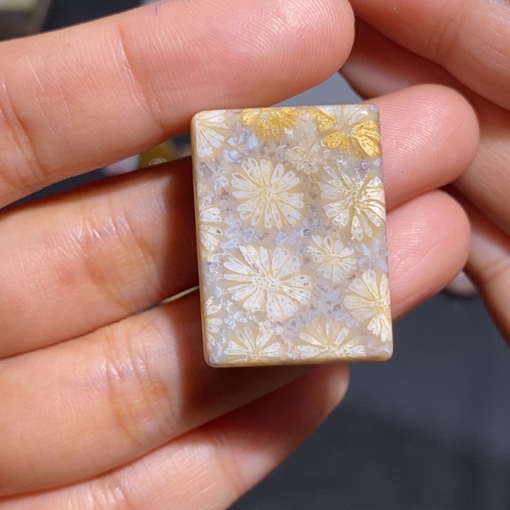 【闪购商品】未镶嵌珊瑚玉硅化玉