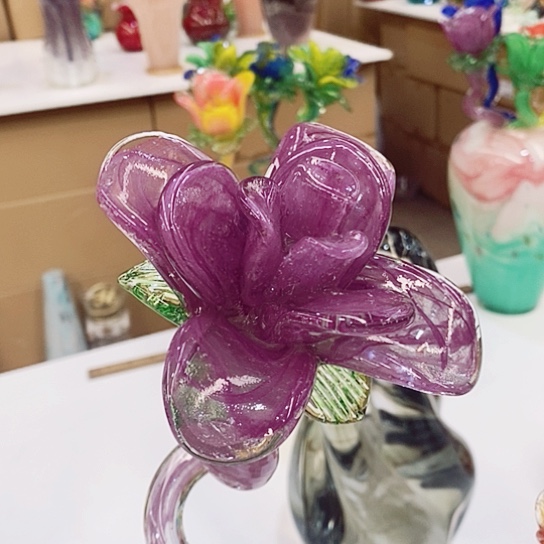 琉璃夜光花高45厘米