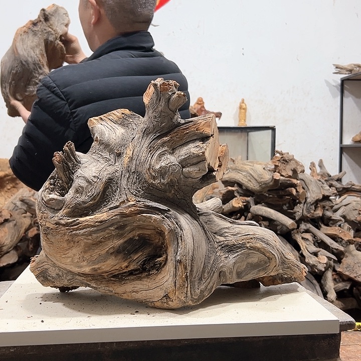 柏木夕*我们的生活也是如此