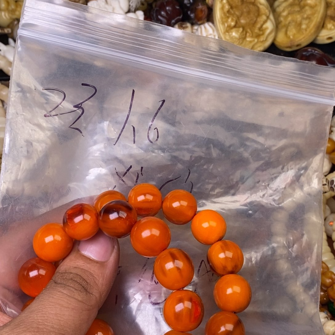 其他驼骨人工样子