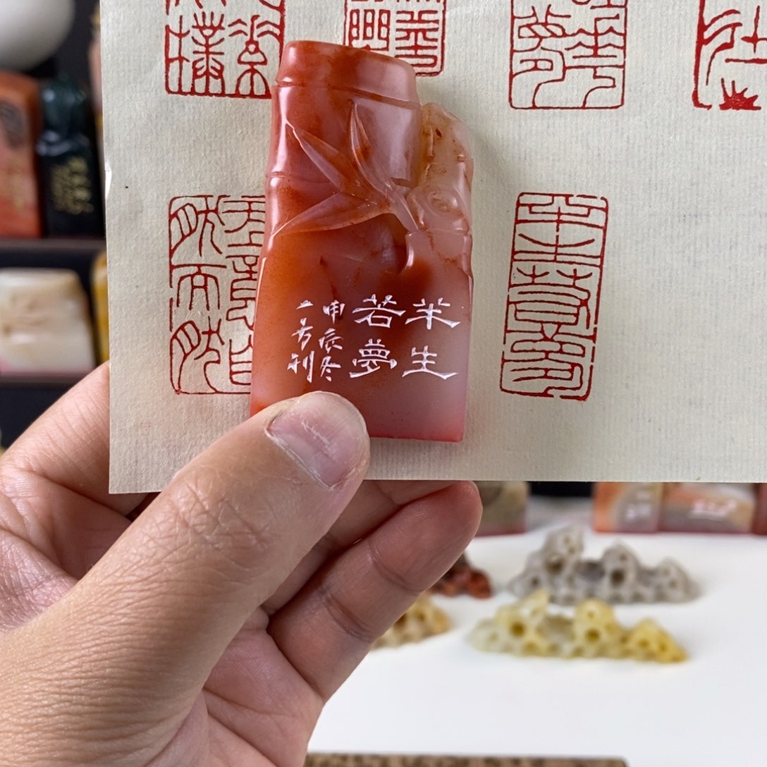 半生若梦111111111