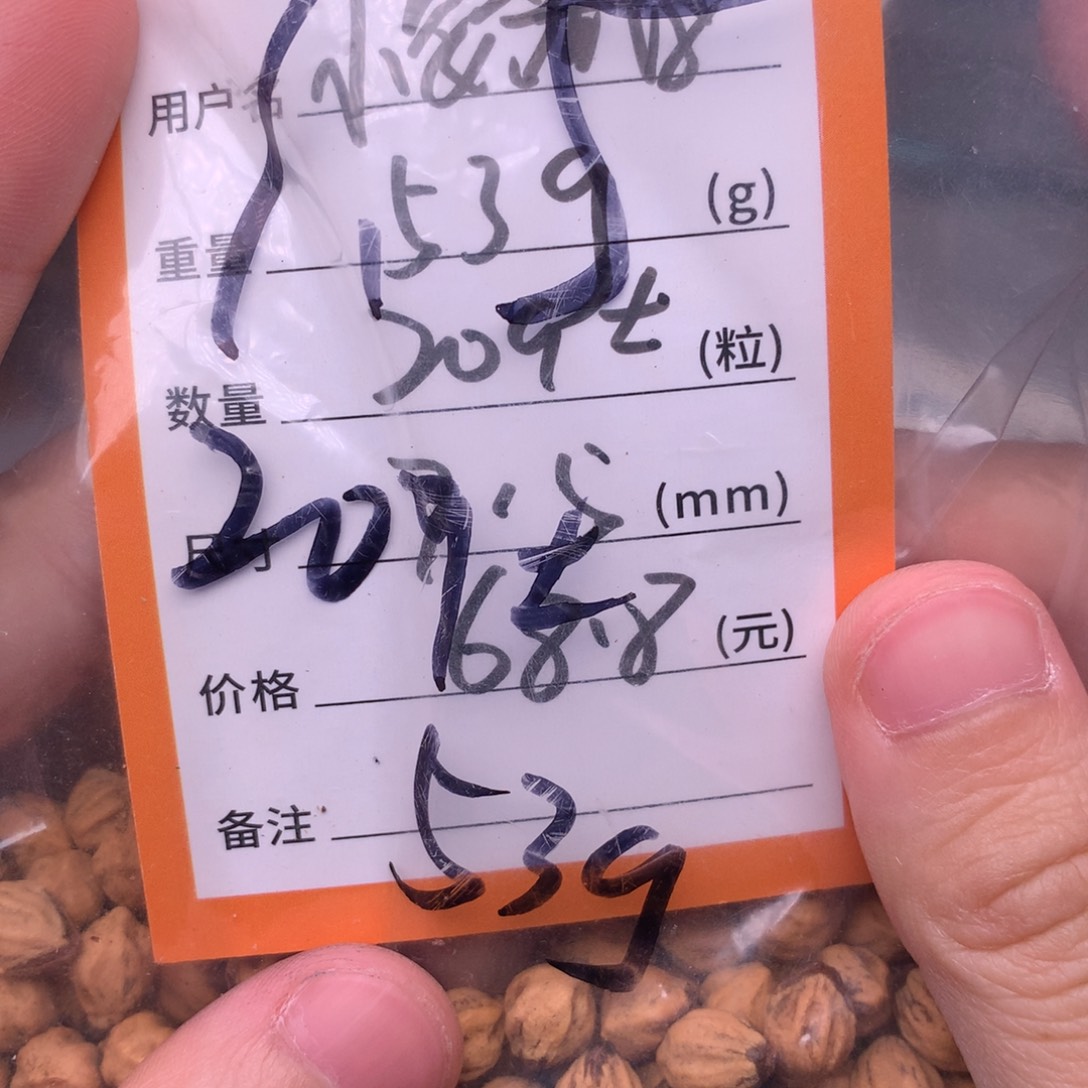 小****热振柏香散籽脖挂