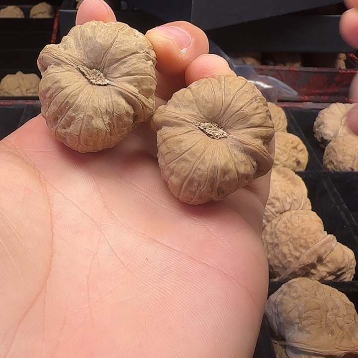 宁***有龙脊菩提吊坠啊啊啊啊啊啊南瓜6