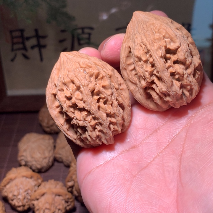 大沽石全品41麻核桃