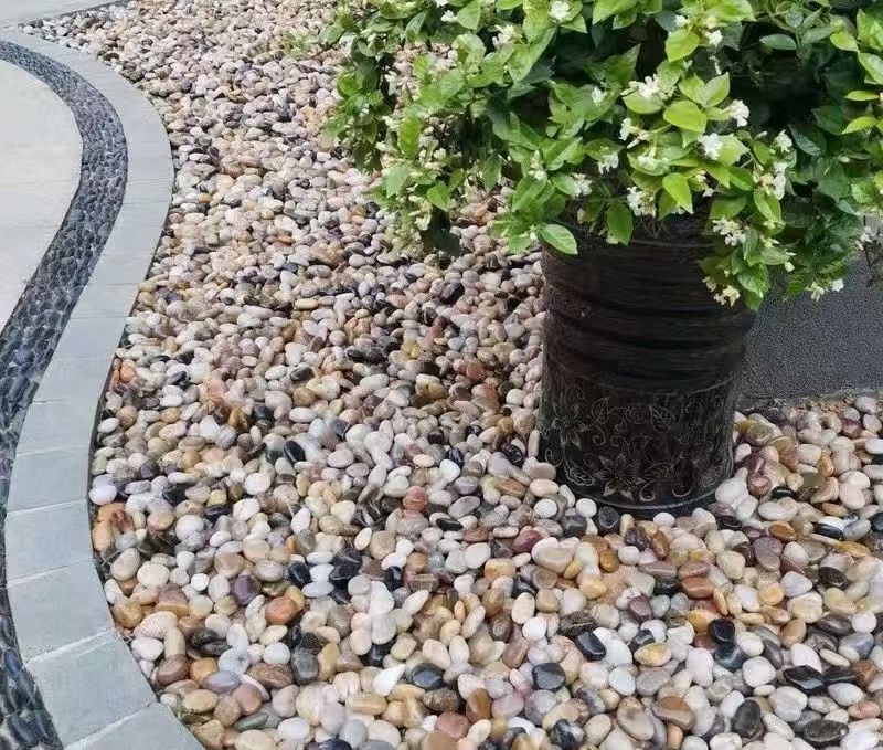 新疆 好看的美丽的奇石 