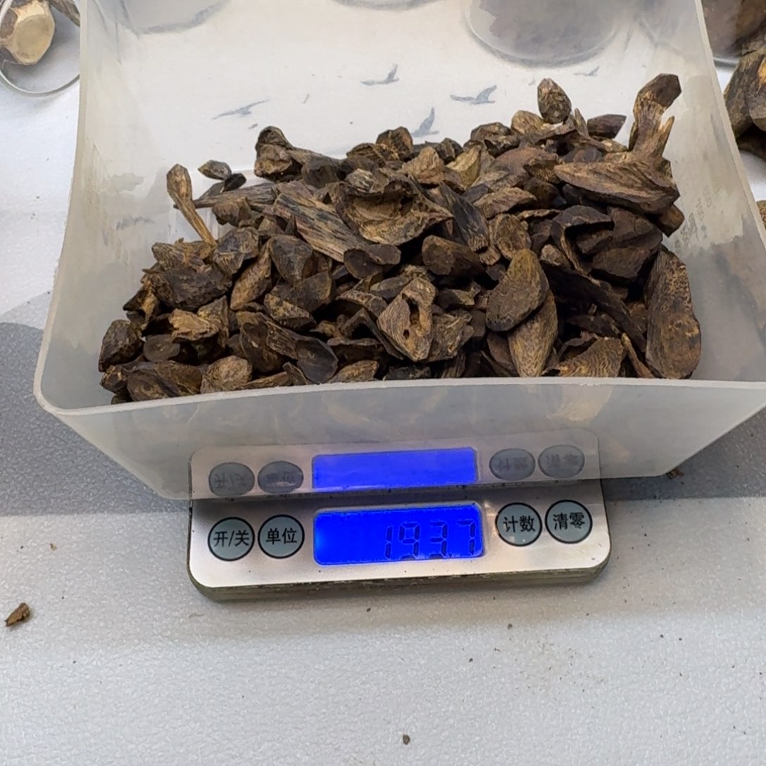 愿***在木奇楠沉水树钉193克