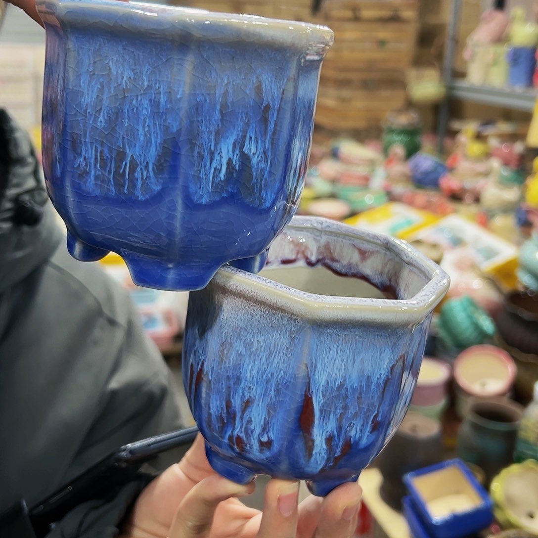 陶瓷福利款多肉花盆