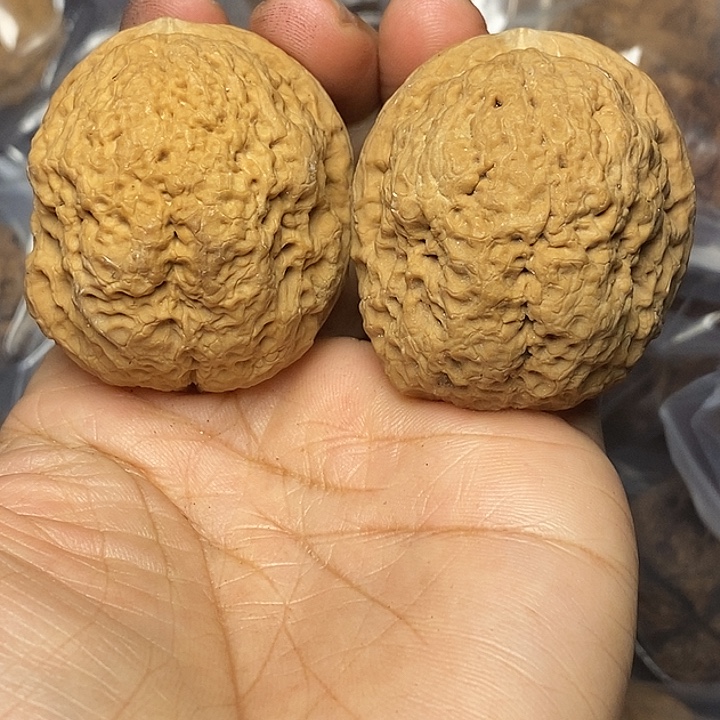 把件文玩核桃云南铁核桃65