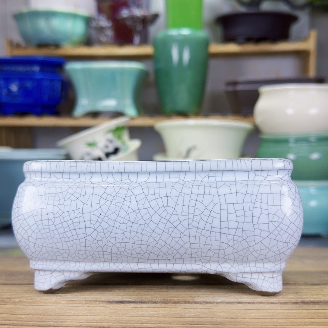 陶瓷花盆特价上新