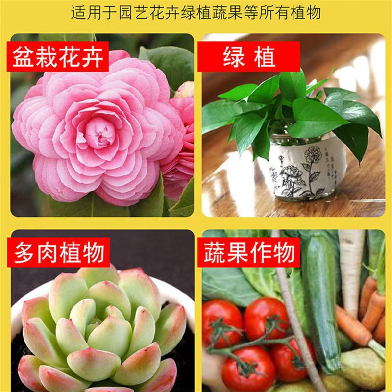 磷酸二氢钾花肥养花全植物通用型100g