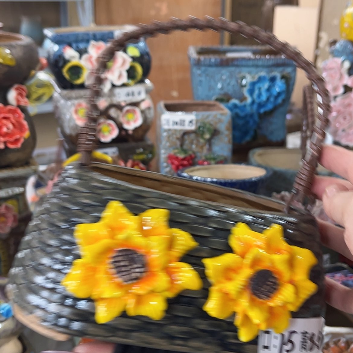 【闪购商品】红陶福利