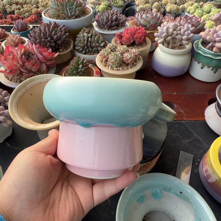 特价花盆 满50发货 内口10