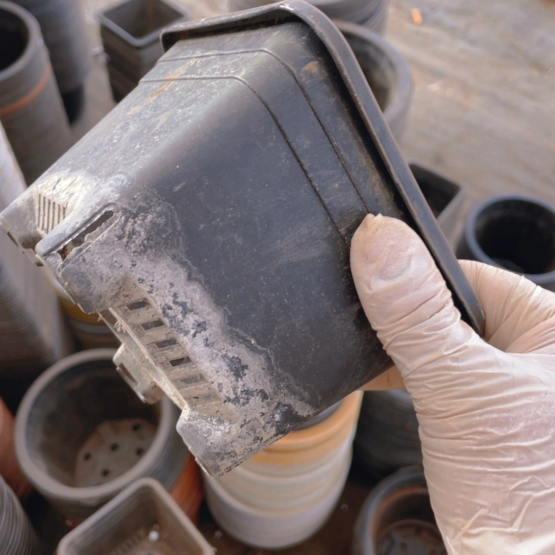 塑料旧12公分黑方盆 软 35个