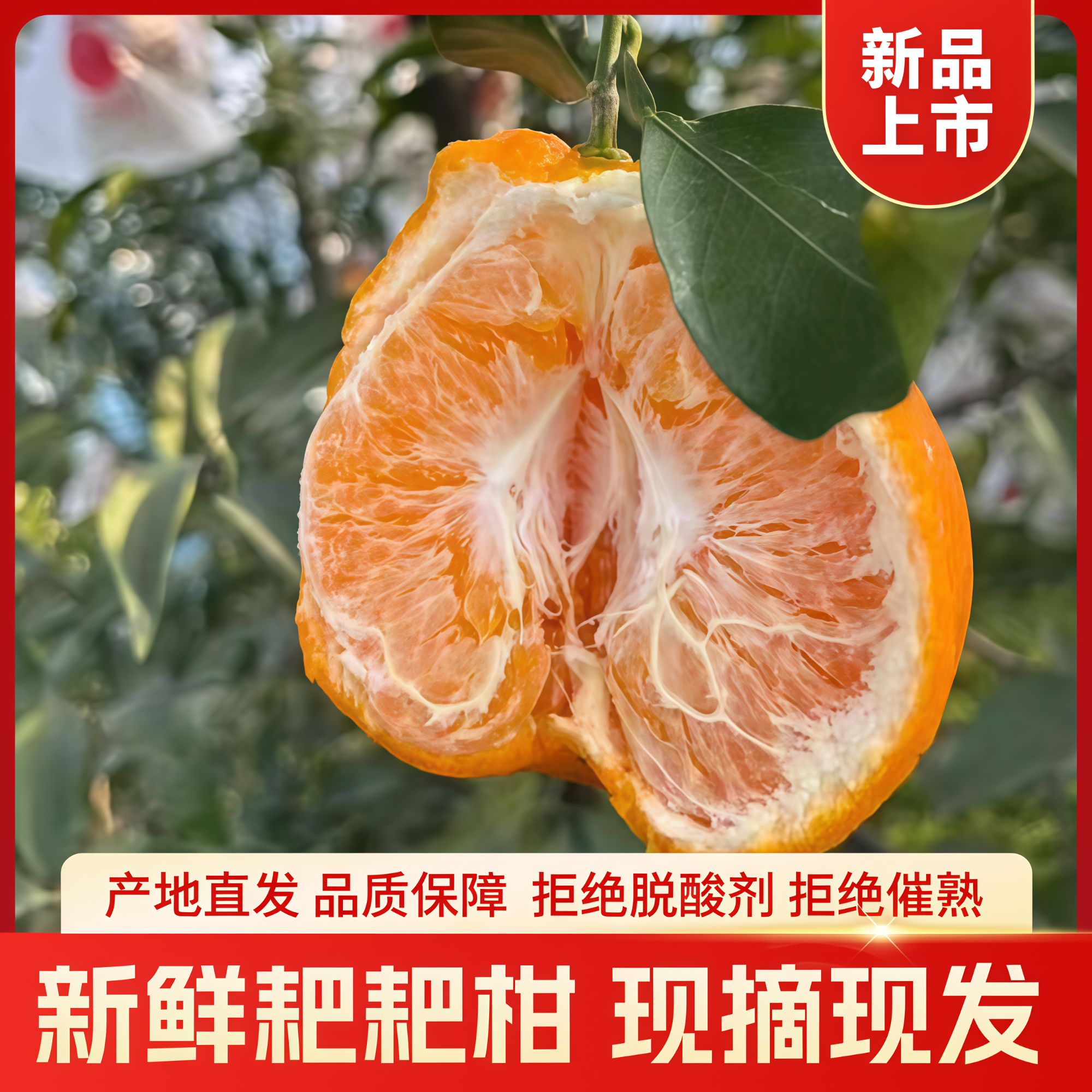 四川春见耙耙柑孕妇水果爽口细腻纯甜水果现摘现发果园直采丑橘