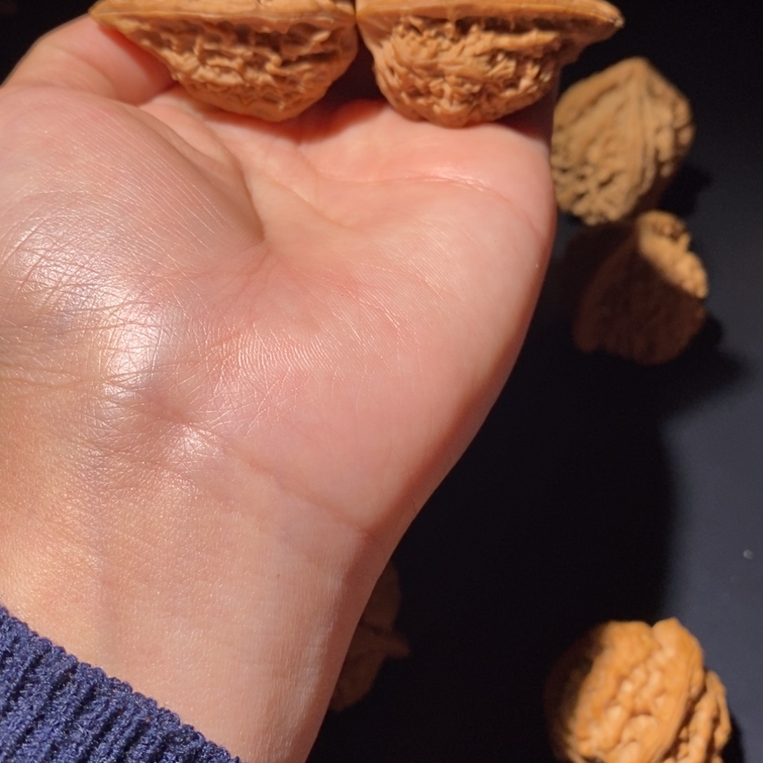 吊坠文玩核桃九龙鸭嘴