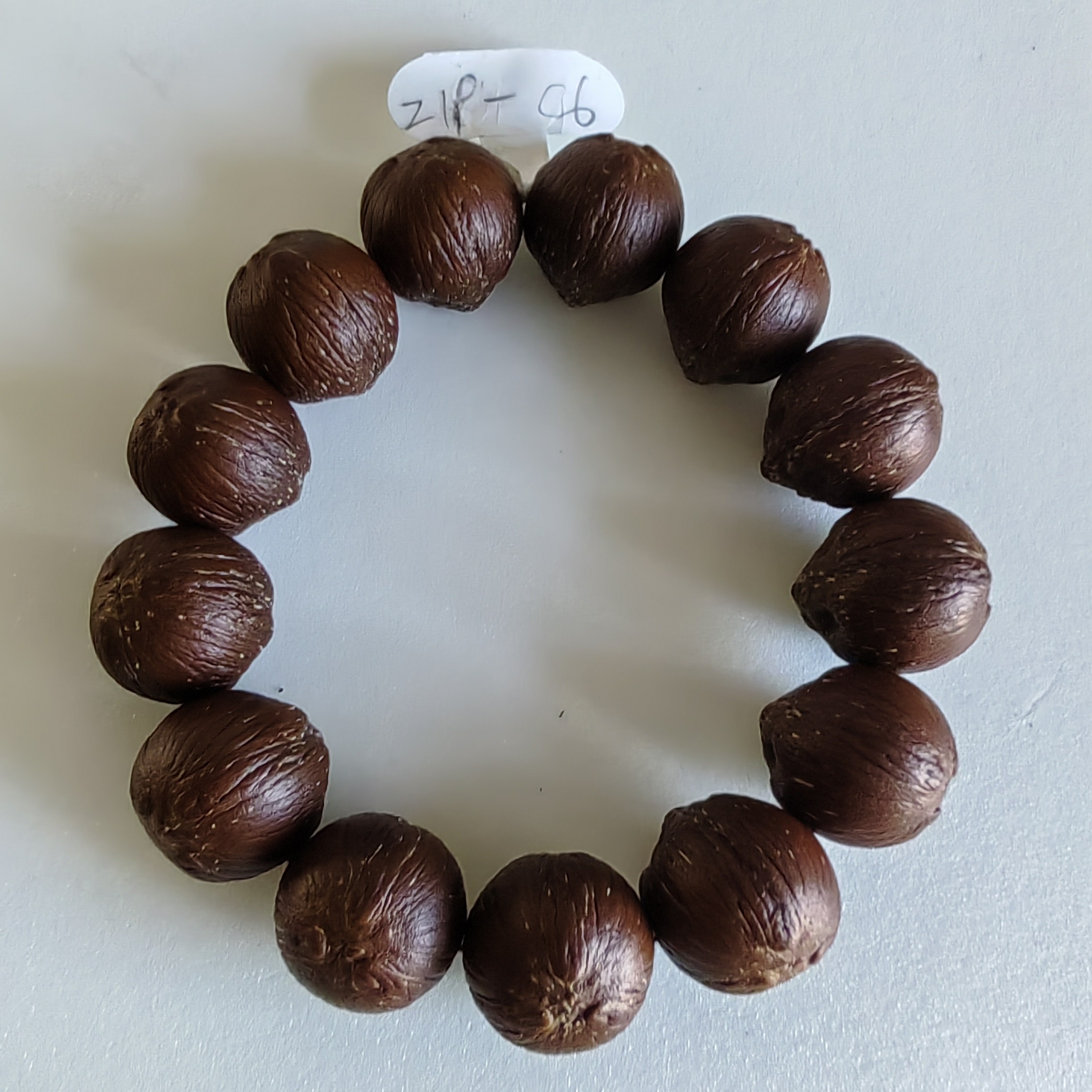 Z19-C6，巴西紫金鼠，正圆款19mm