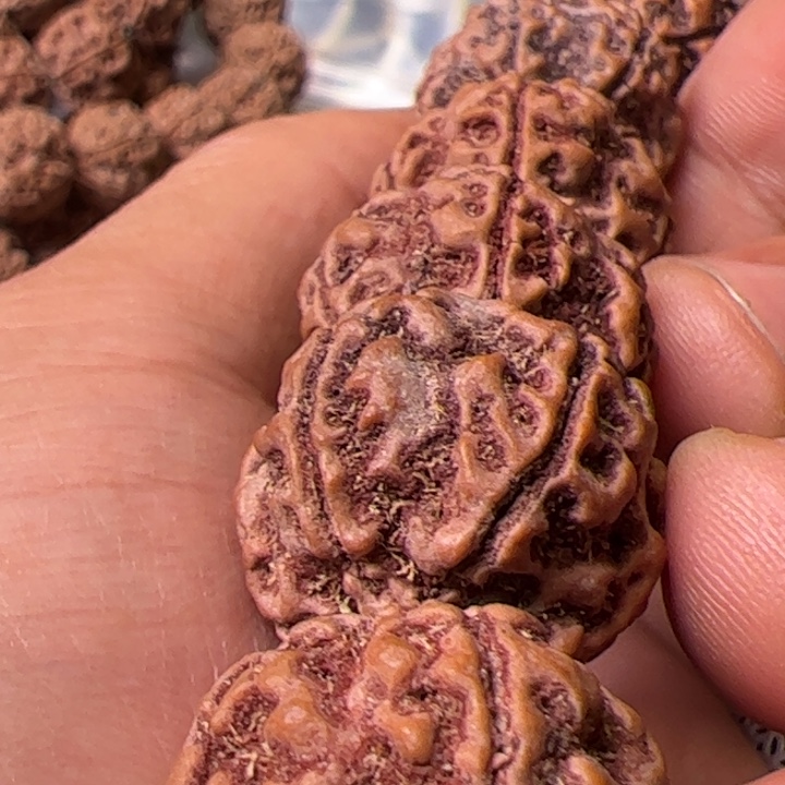 金刚菩提手串21安娜粗筋双龙