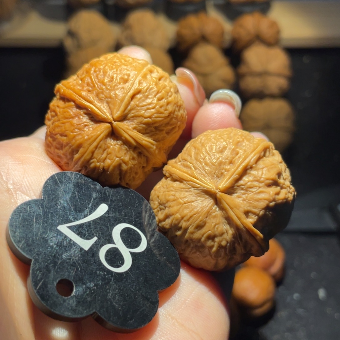 一三一四35尺寸核桃（色差