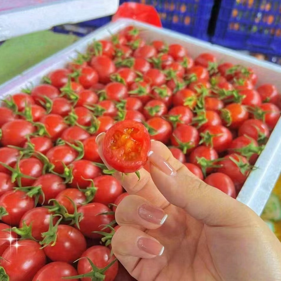 很甜小番茄一箱毛重约2.3斤