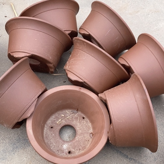 紫砂花盆100-8。      18.5-9.5