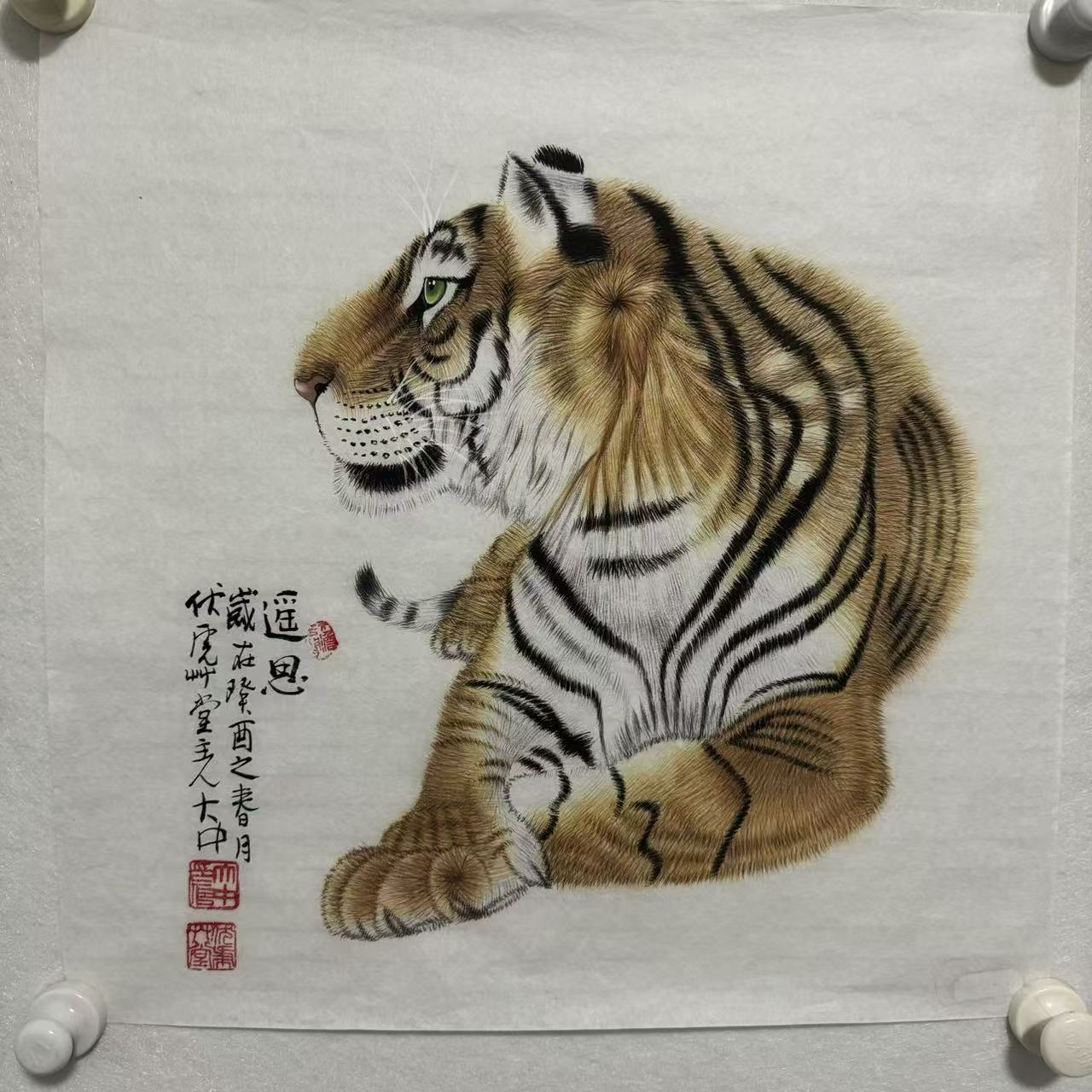 DD123冯大中 老虎  纸本设色画心  45×45cm