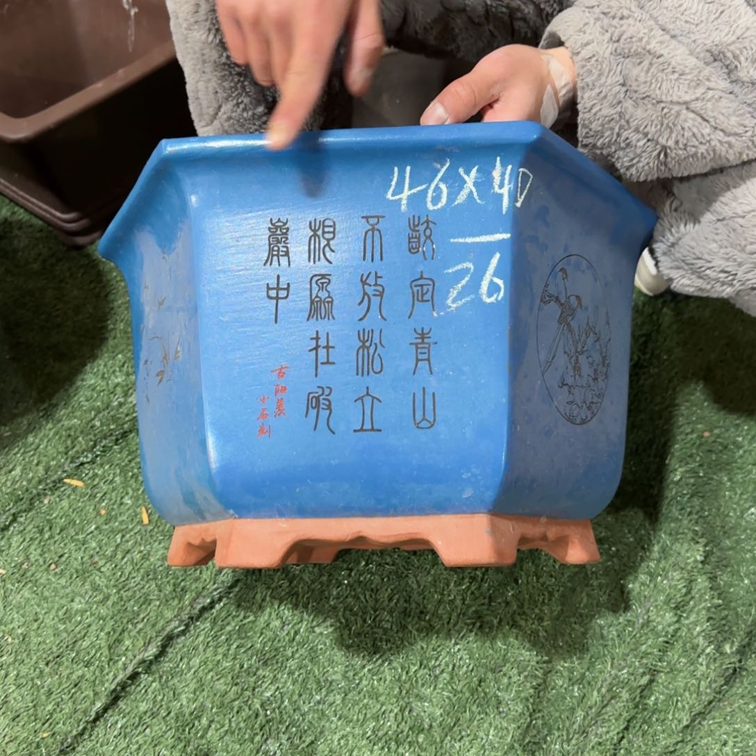 紫砂花盆呜呜呜呜