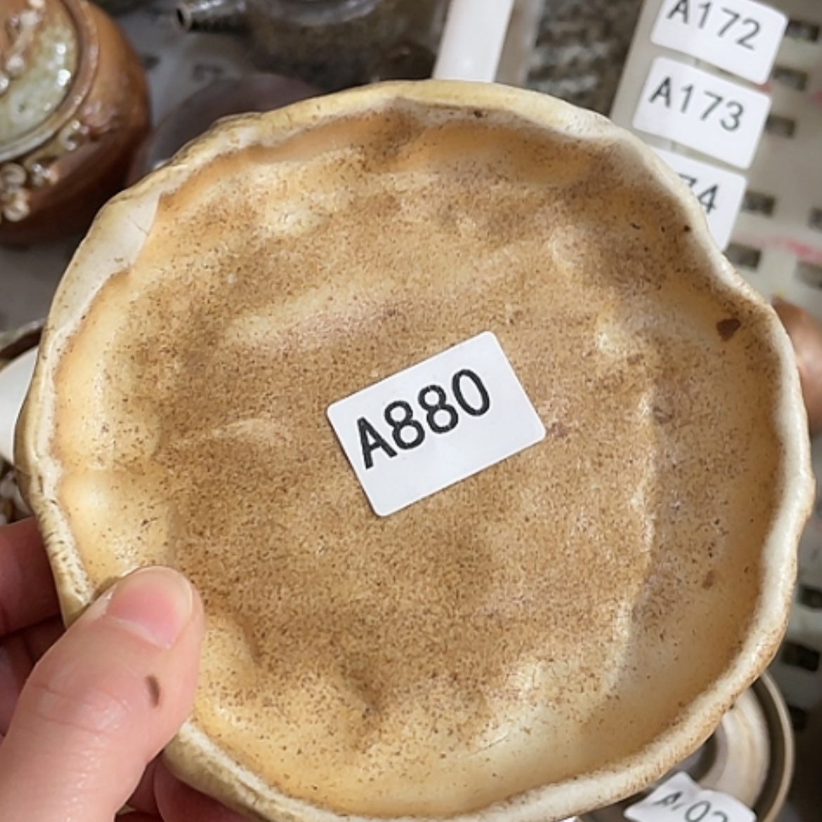 【闪购商品】福利多多福利多多