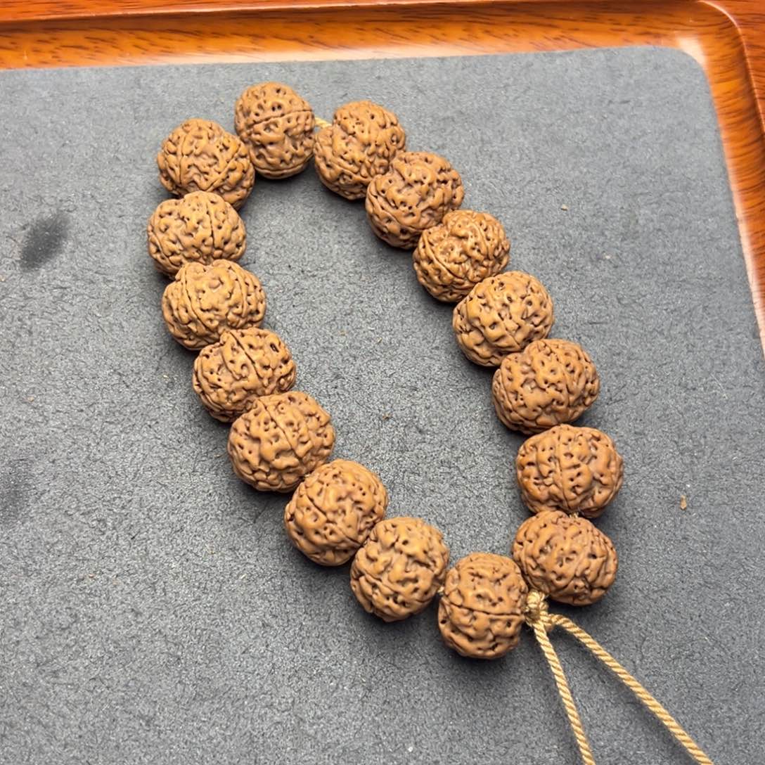 菩提10号尼泊尔大金刚16-17梅花蜂窝