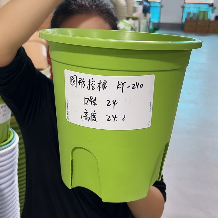 正品圆控口24高24果绿无托8只