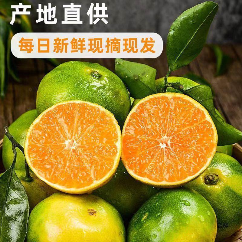 湖北青皮无籽蜜橘当季水果孕妇适用现摘新鲜酸甜多汁蜜橘橘子
