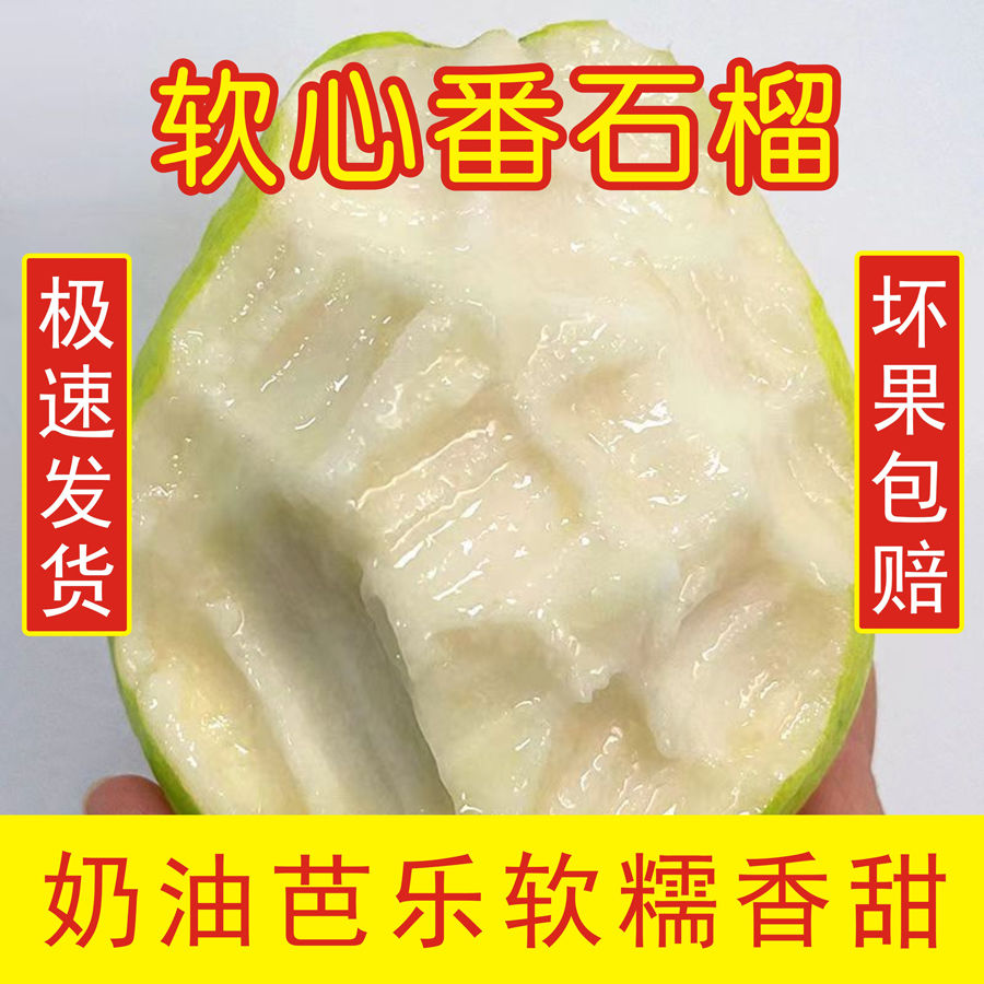 现摘新鲜发货广西奶油芭乐香甜软糯当季水果精选大果发货包邮