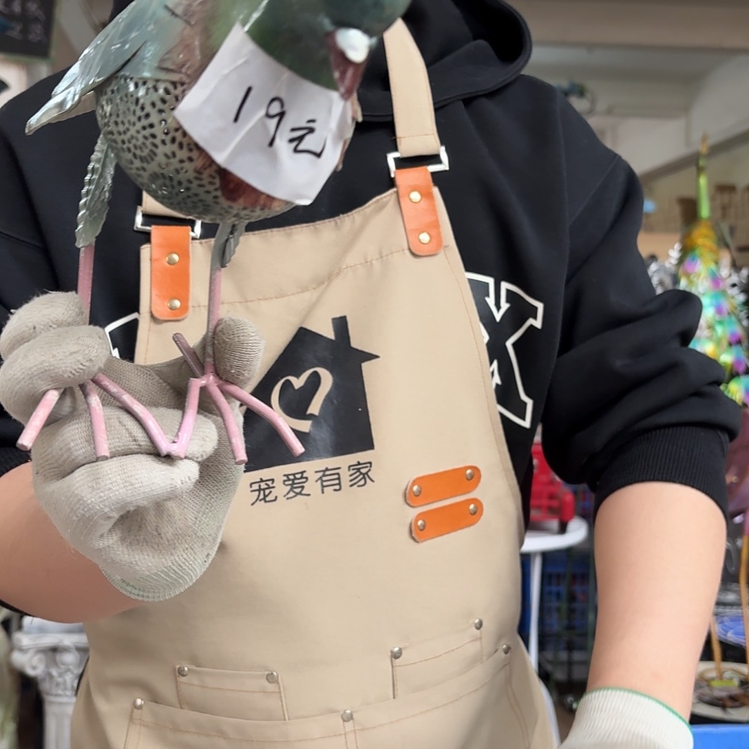 核桃木/黑胡桃（胡桃木）