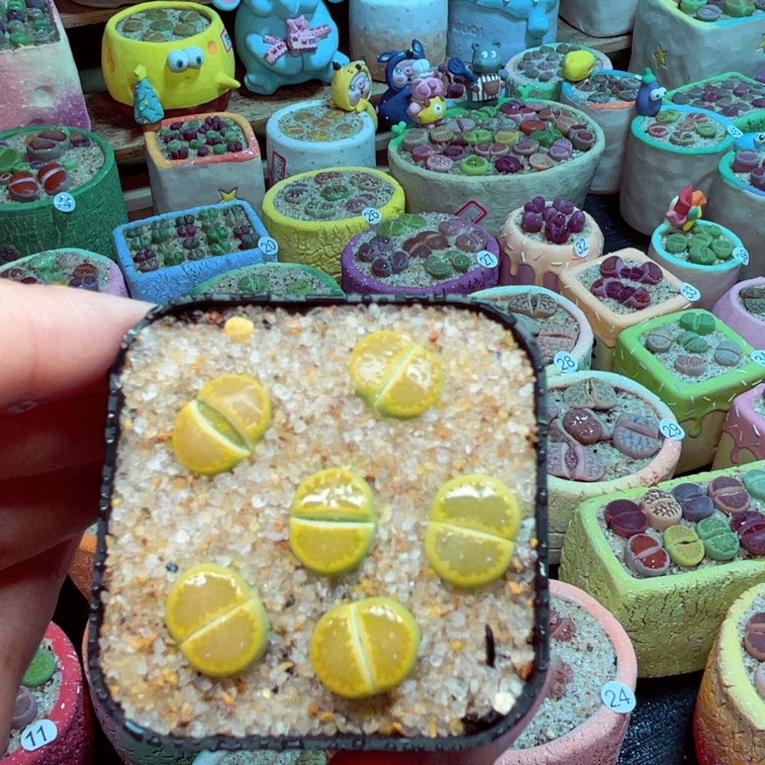 478。 888888888888888888888