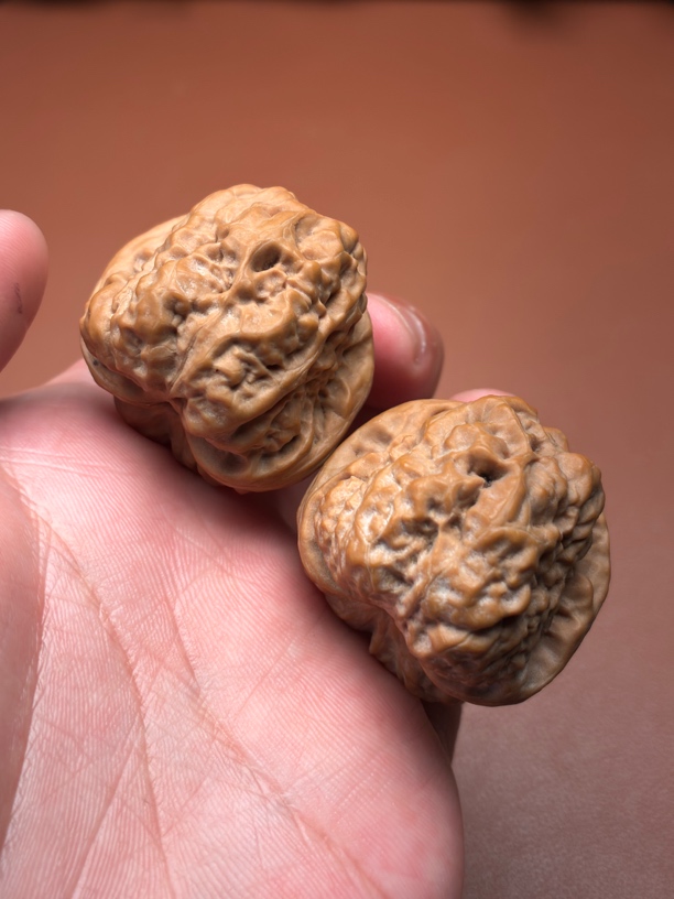 S1129 昌平蛤蟆头 八腿全蹬 石子骨质 沉手感强 边35肚37高33